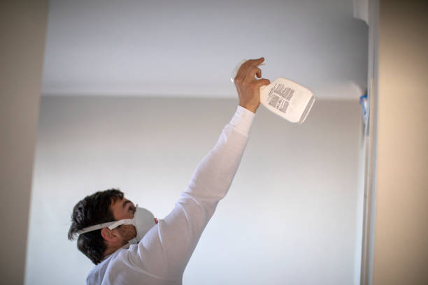 Best Health and Safety Mold Remediation in Addis, LA